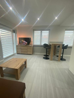 Ferienwohnung H&M Immobilien - Geiseltalsee